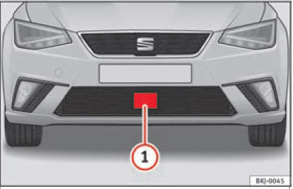 Fig. 197 Sul paraurti anteriore: sensore radar.